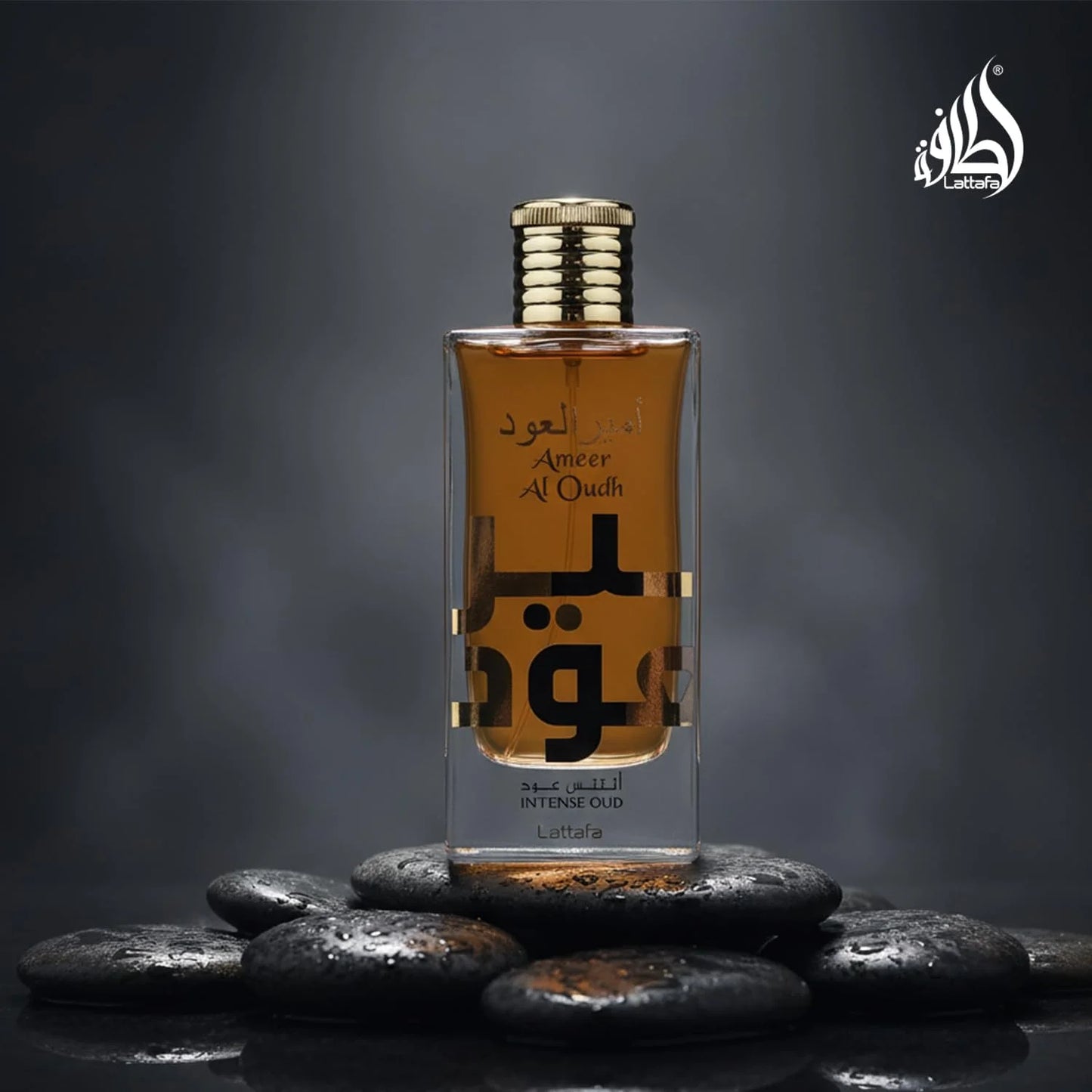 Lattafa Ameer Al Oud Intense Oud for Unisex Eau de Parfum Spray, 3.4 Ounce